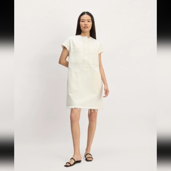 Everlane Dresses & Skirts - Everlane The Denim Workwear Shirtdress